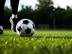 孙杨血样遭,保安行为,照明暗淡,kaiyun·开云（中国）,kaiyun·开云（中国）下载,kaiyun·开云（中国）官网,kaiyun·开云（中国）入口,kaiyun·开云（中国）登录,kaiyun·开云（中国）链接