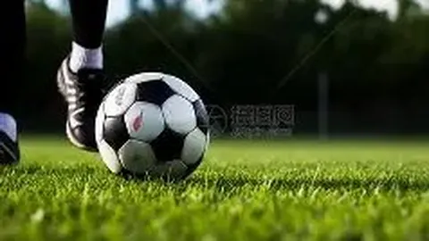 kaiyun·开云（中国）